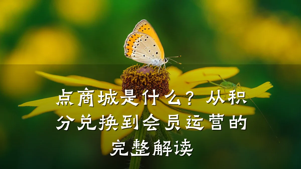 点商城是什么?从积分兑换到会员运营的完整解读
