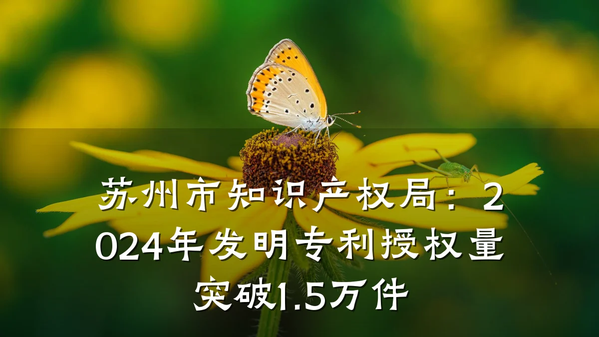 苏州市知识产权局:2024年发明专利授权量突破1.5万件