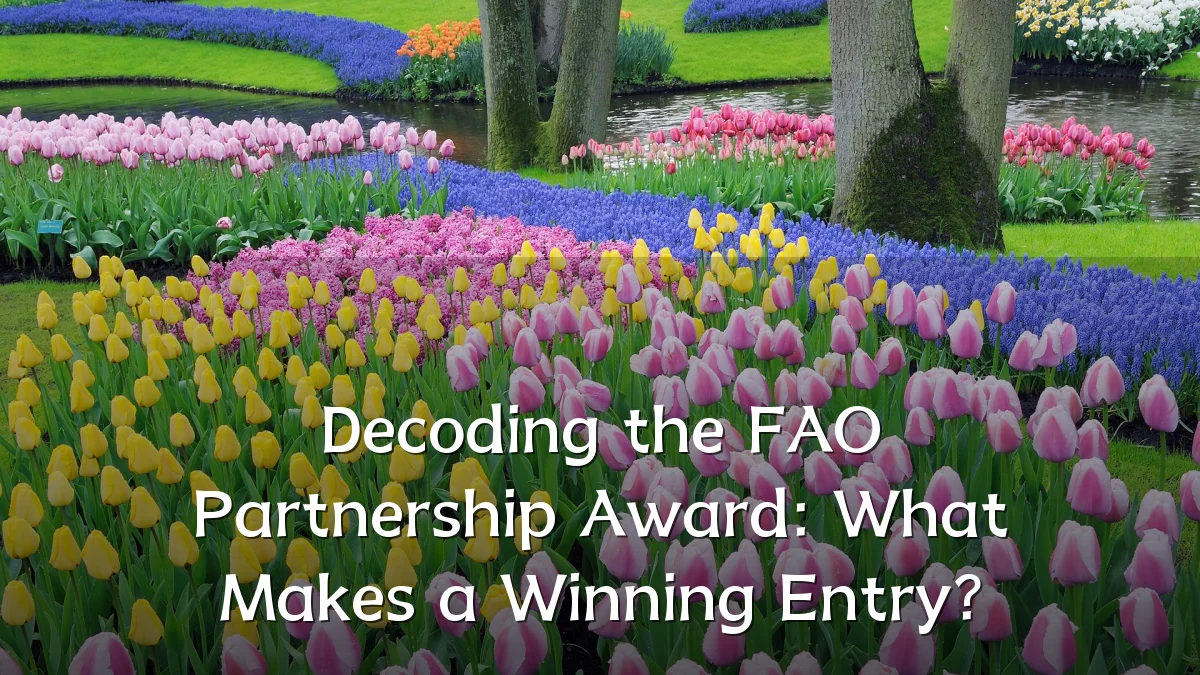 Decoding the FAO Partnership Award: What Makes a Winning Entry?