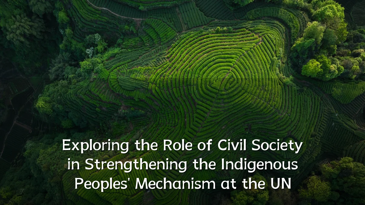 Exploring the Role of Civil Society in Strengthening the Indigenous Peoples' Mechanism at the UN