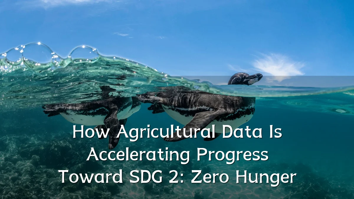 How Agricultural Data Is Accelerating Progress Toward SDG 2: Zero Hunger