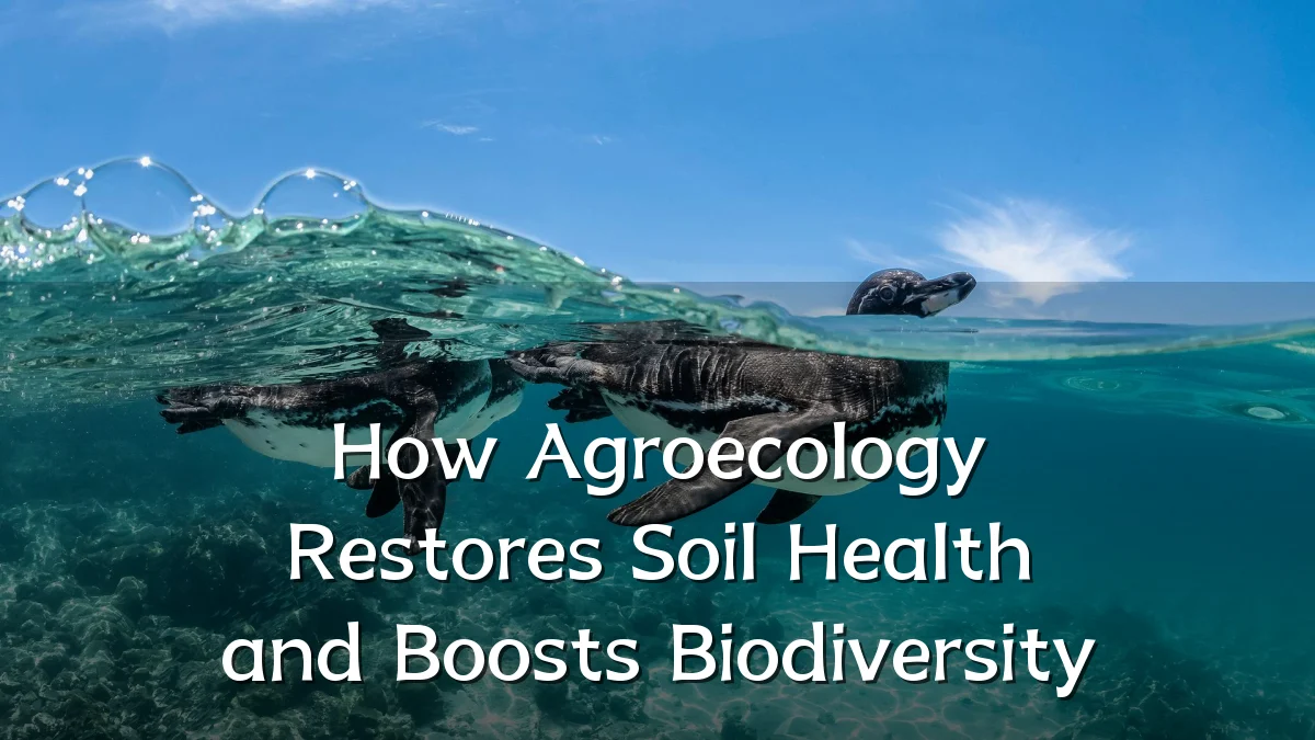 How Agroecology Restores Soil Health and Boosts Biodiversity