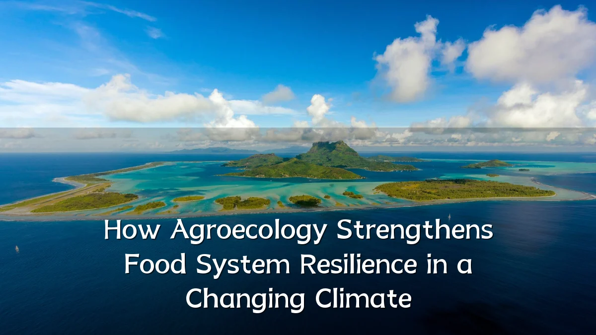 How Agroecology Strengthens Food System Resilience in a Changing Climate