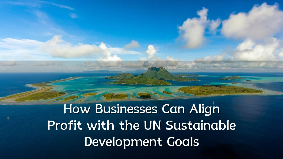 How Businesses Can Align Profit with the UN Sustainable Development Goals