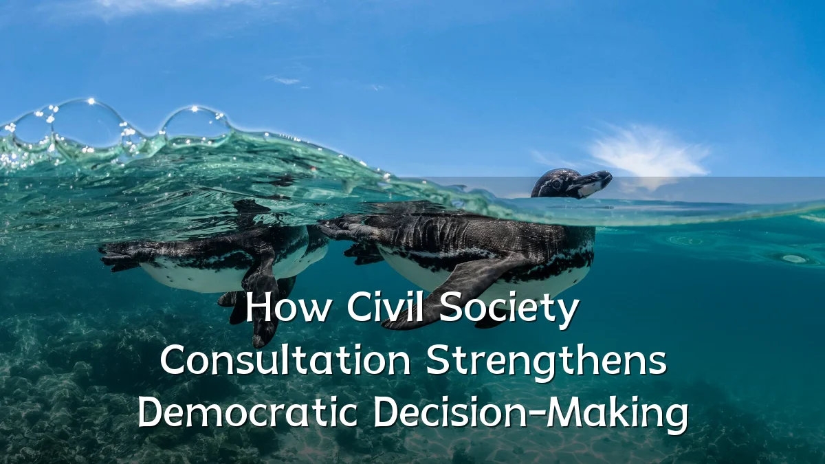 How Civil Society Consultation Strengthens Democratic Decision-Making