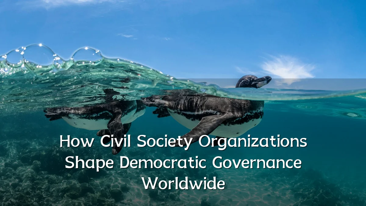 How Civil Society Organizations Shape Democratic Governance Worldwide
