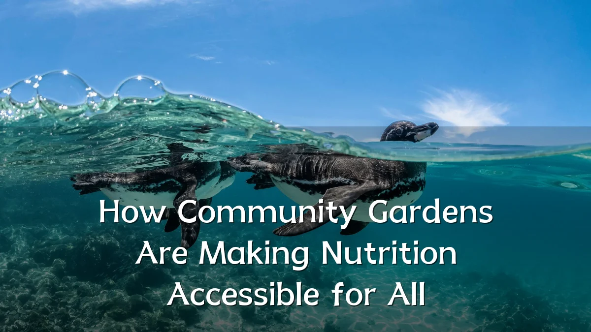 How Community Gardens Are Making Nutrition Accessible for All