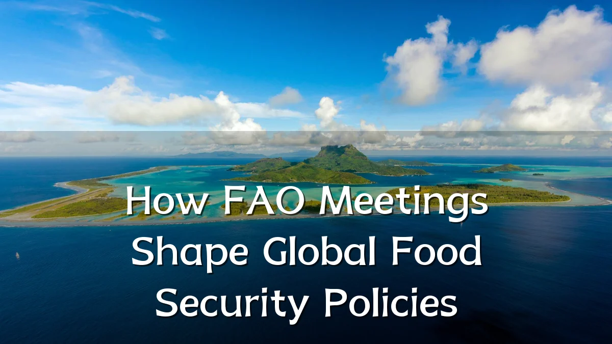 How FAO Meetings Shape Global Food Security Policies