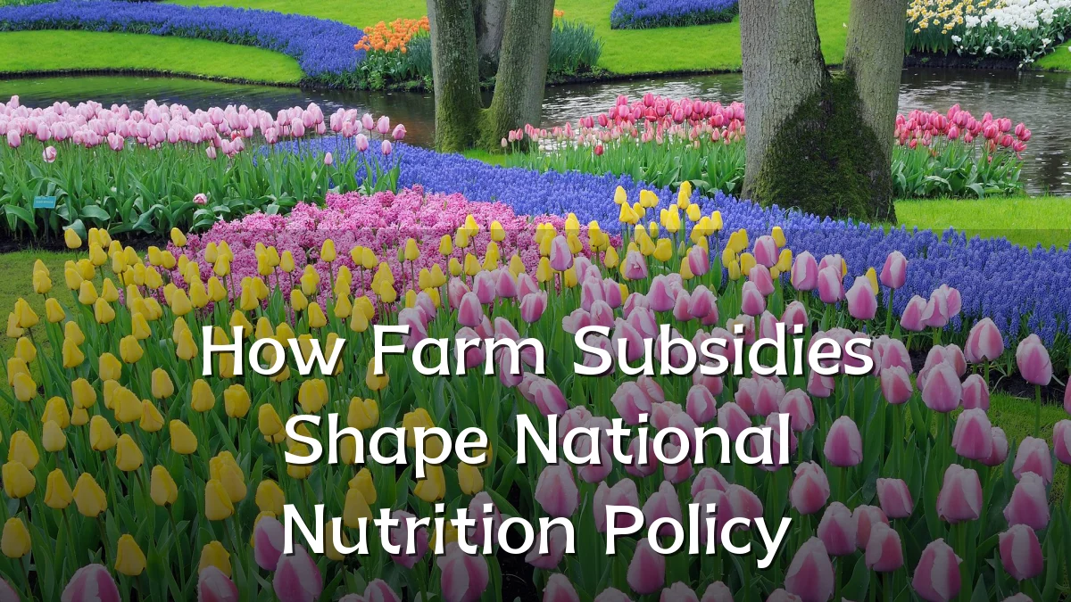 How Farm Subsidies Shape National Nutrition Policy