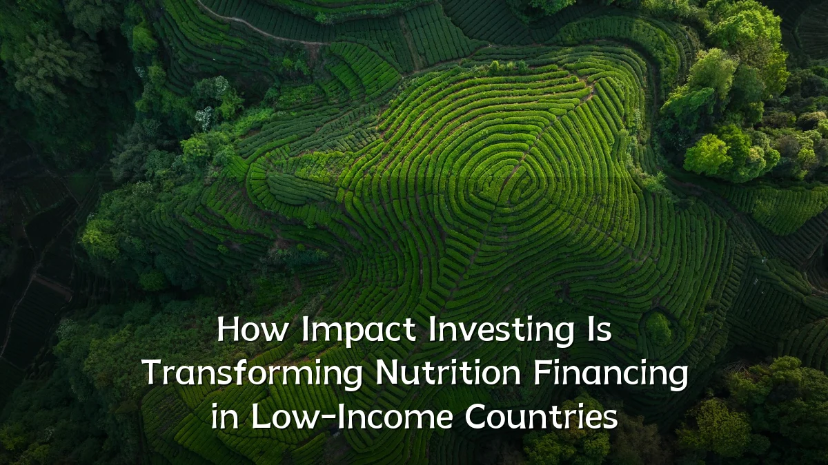 How Impact Investing Is Transforming Nutrition Financing in Low-Income Countries