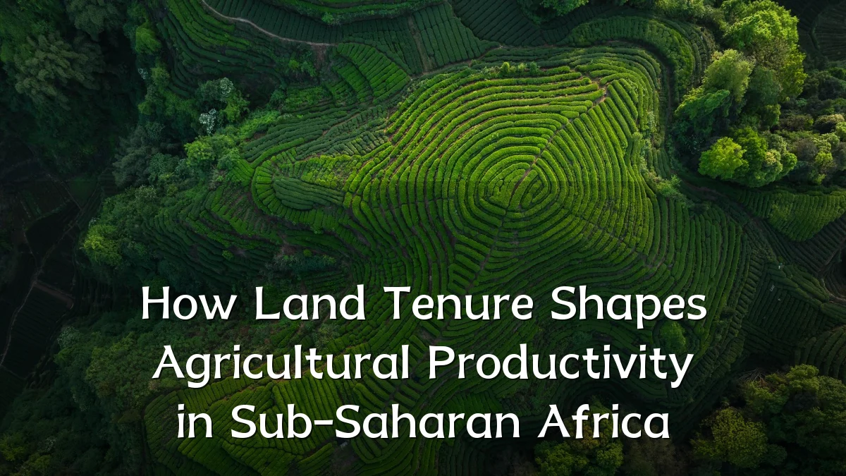 How Land Tenure Shapes Agricultural Productivity in Sub-Saharan Africa