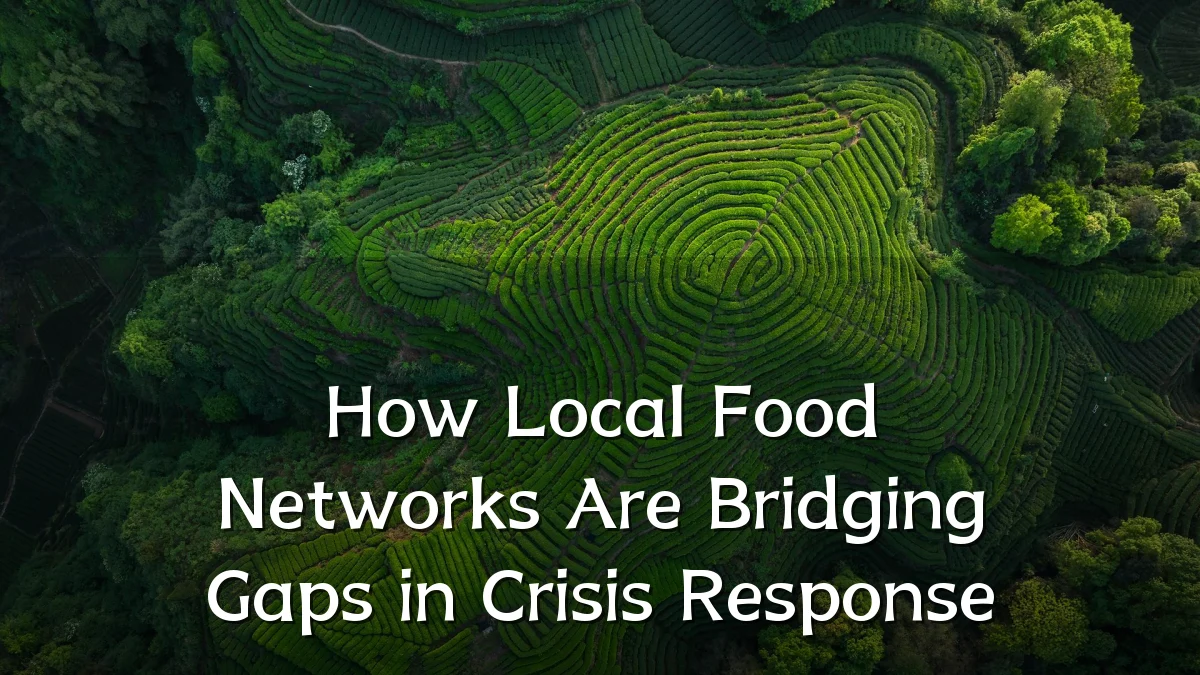 How Local Food Networks Are Bridging Gaps in Crisis Response