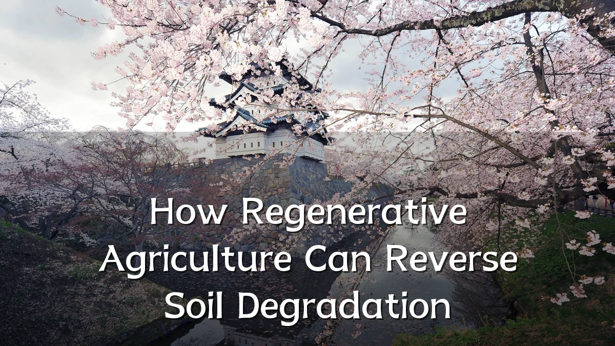 How Regenerative Agriculture Can Reverse Soil Degradation