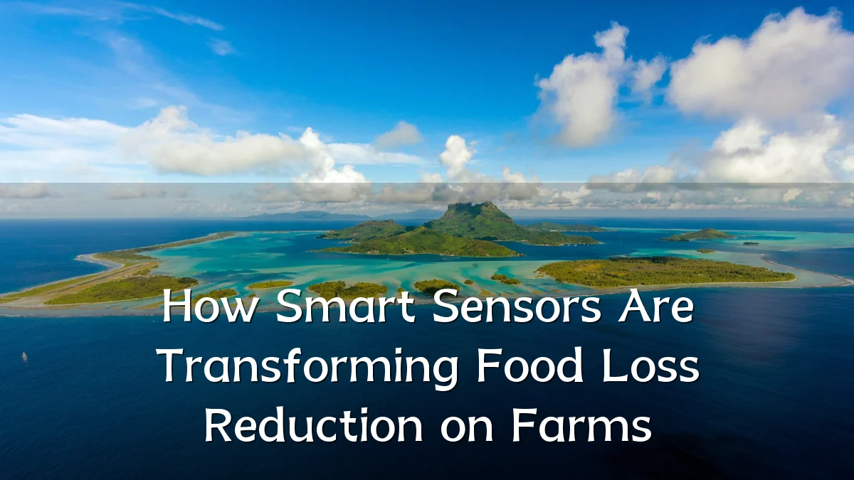 How Smart Sensors Are Transforming Food Loss Reduction on Farms