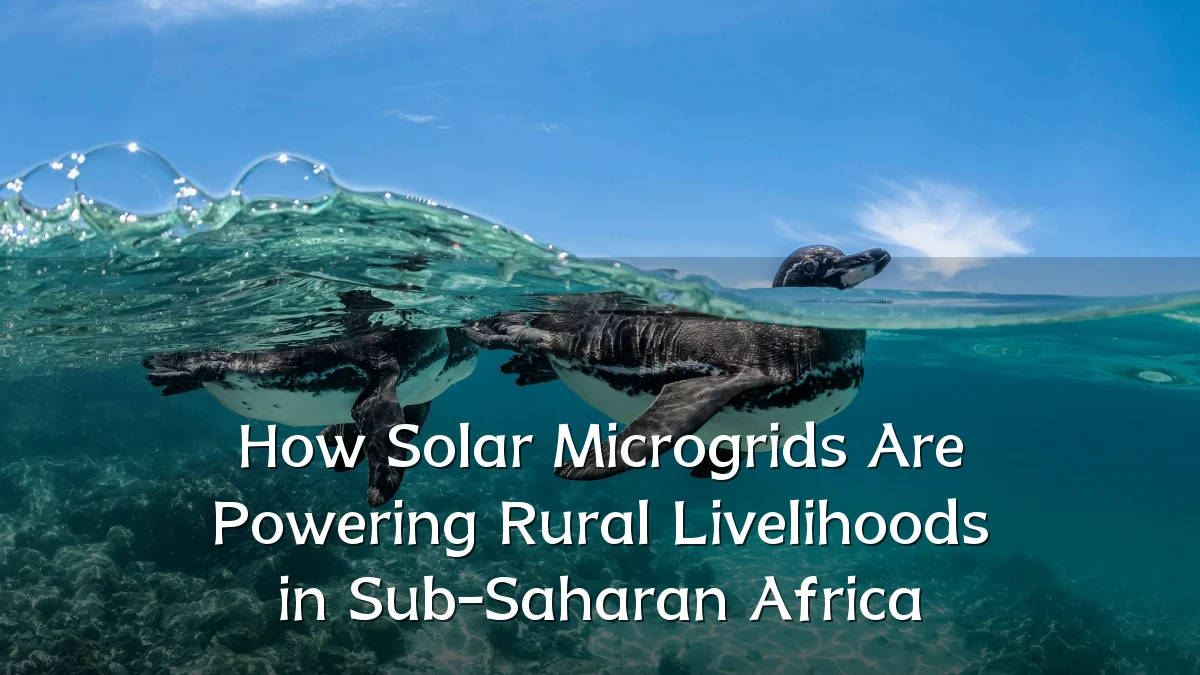 How Solar Microgrids Are Powering Rural Livelihoods in Sub-Saharan Africa