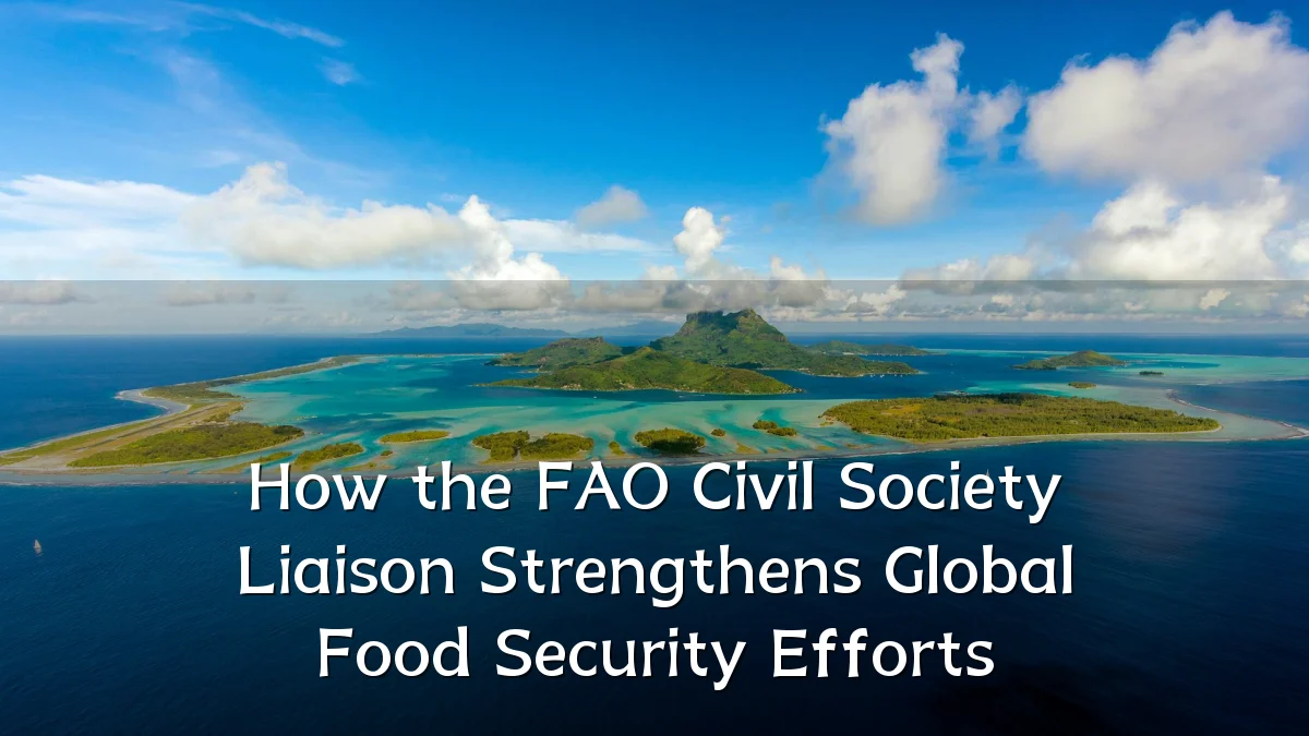 How the FAO Civil Society Liaison Strengthens Global Food Security Efforts