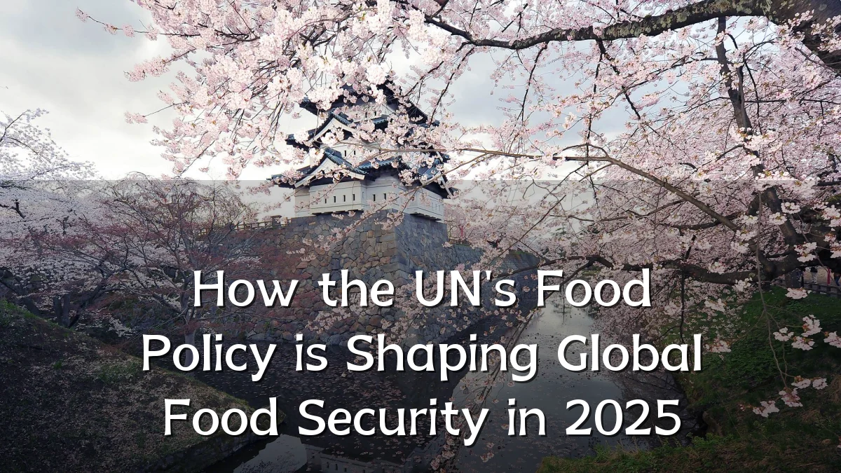 How the UN's Food Policy is Shaping Global Food Security in 2025
