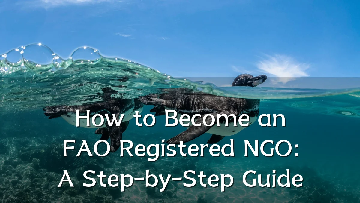 How to Become an FAO Registered NGO: A Step-by-Step Guide