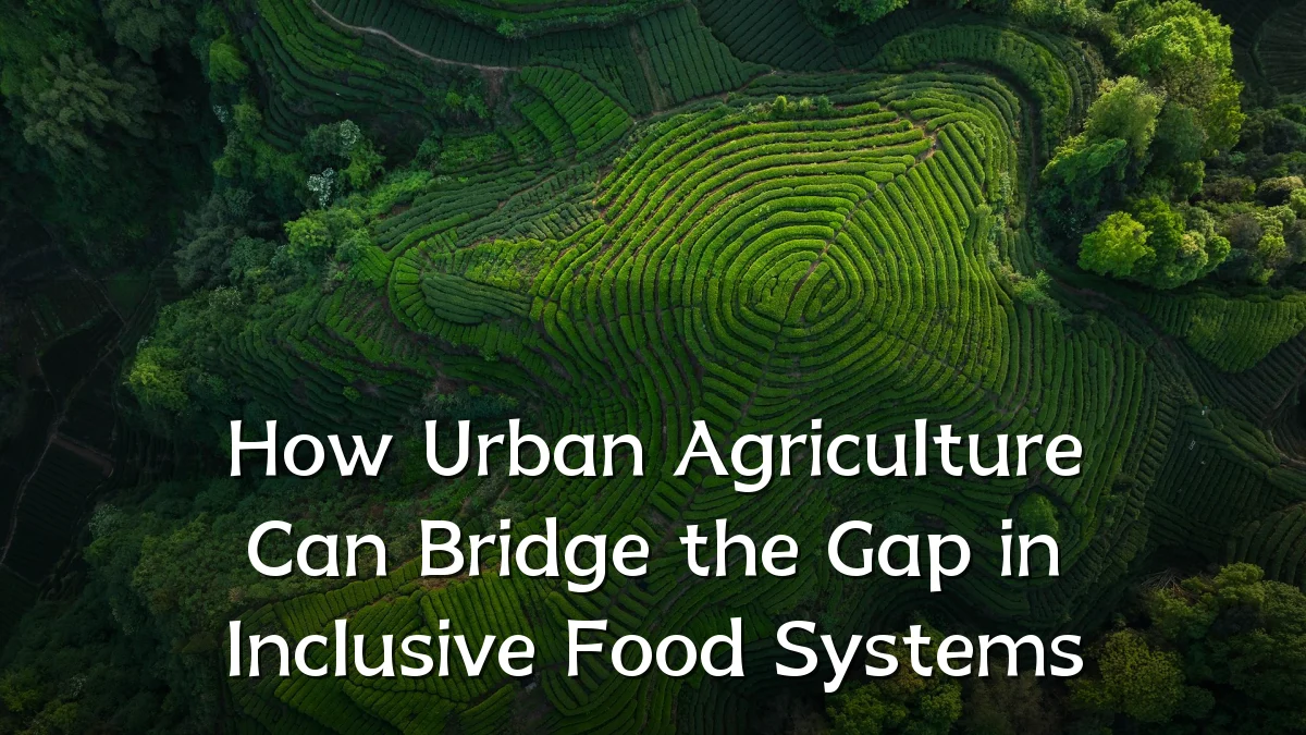 How Urban Agriculture Can Bridge the Gap in Inclusive Food Systems