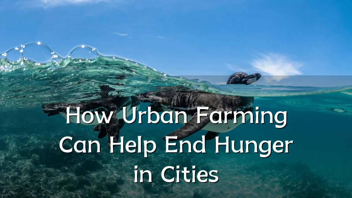 How Urban Farming Can Help End Hunger in Cities