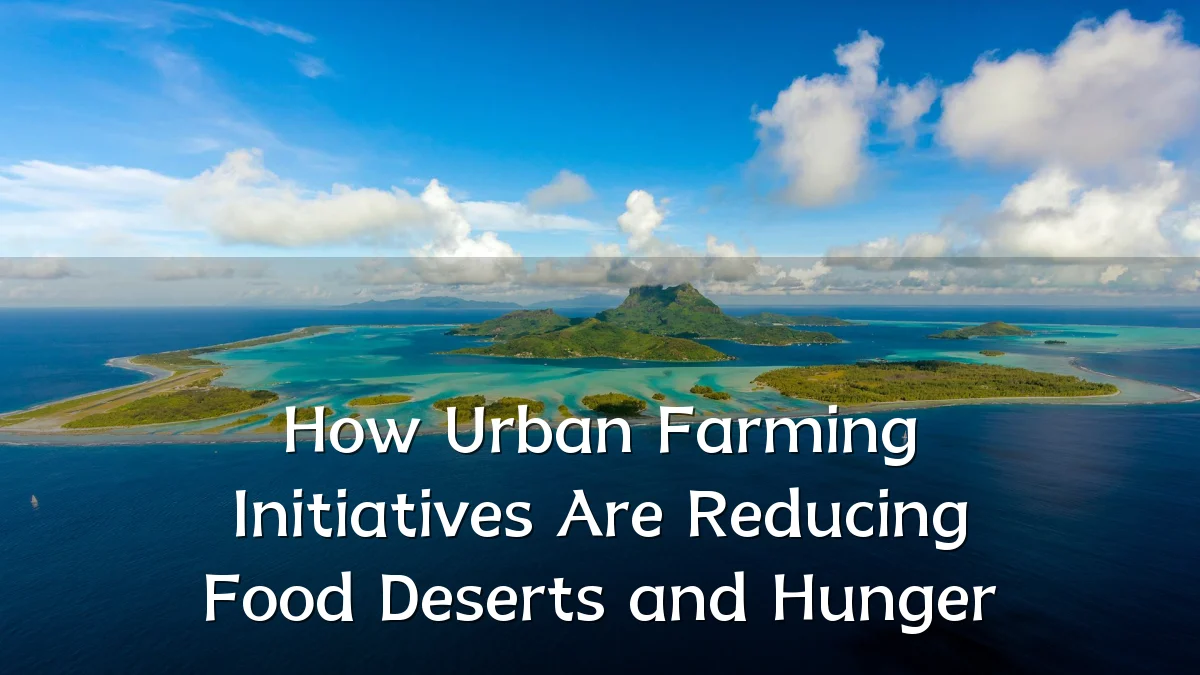 How Urban Farming Initiatives Are Reducing Food Deserts and Hunger