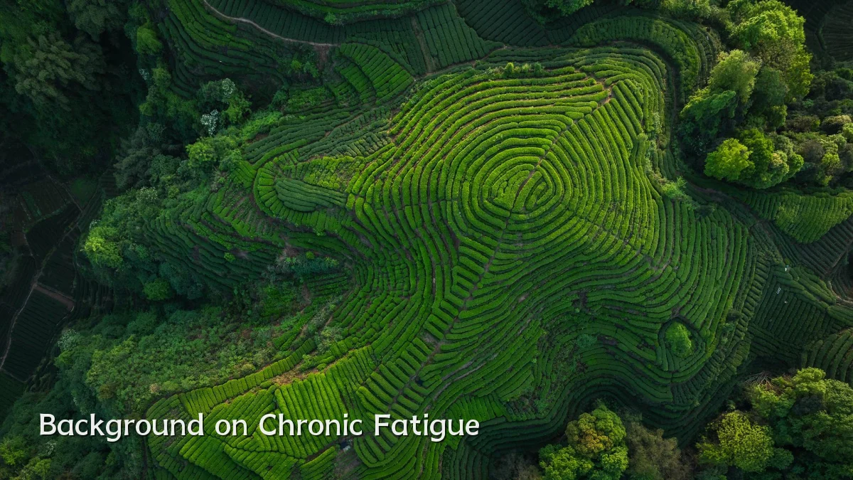 Background on Chronic Fatigue