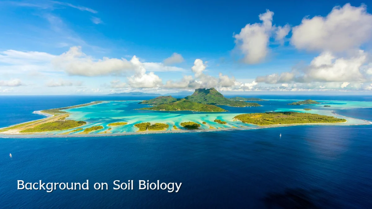 Background on Soil Biology