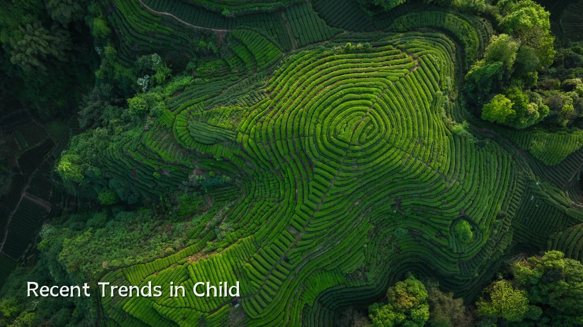 Recent Trends in Child