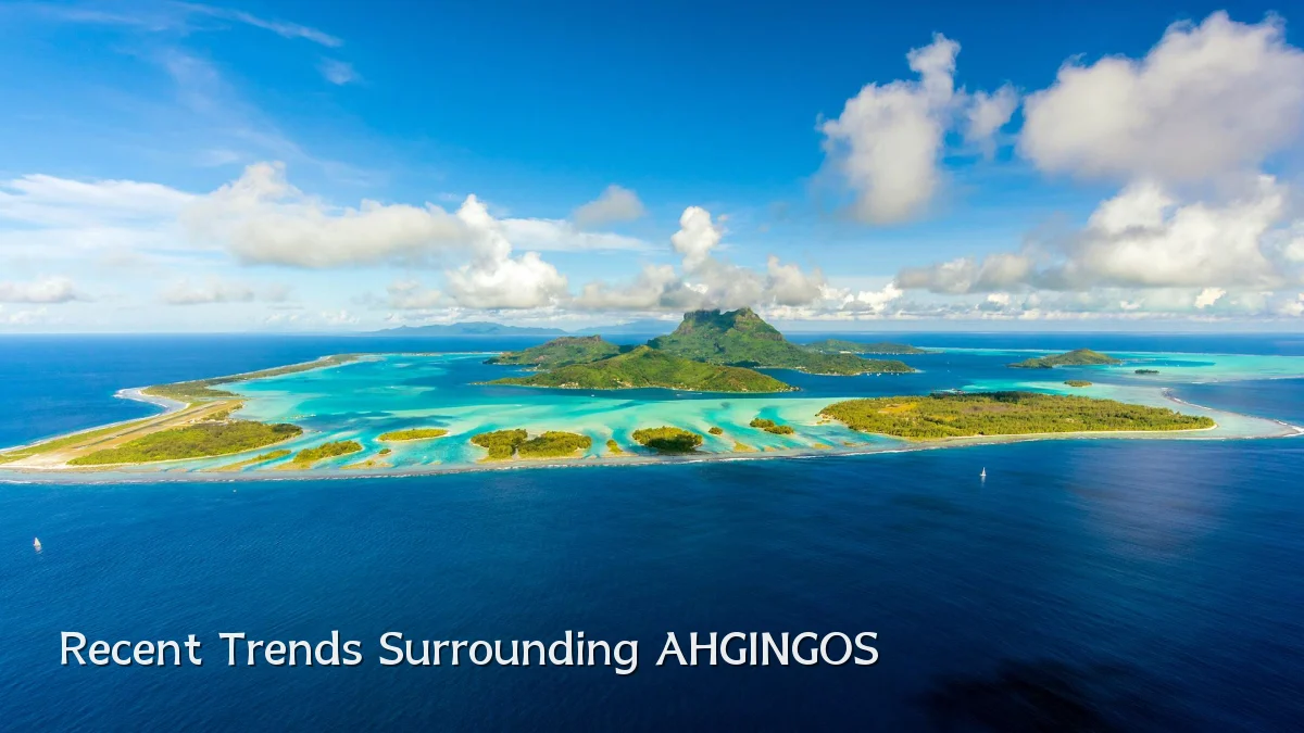 Recent Trends Surrounding AHGINGOS