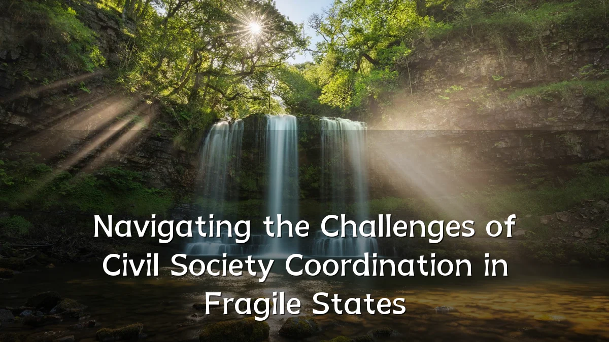 Navigating the Challenges of Civil Society Coordination in Fragile States
