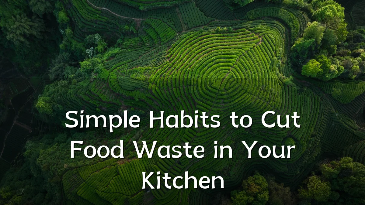 Simple Habits to Cut Food Waste in Your Kitchen