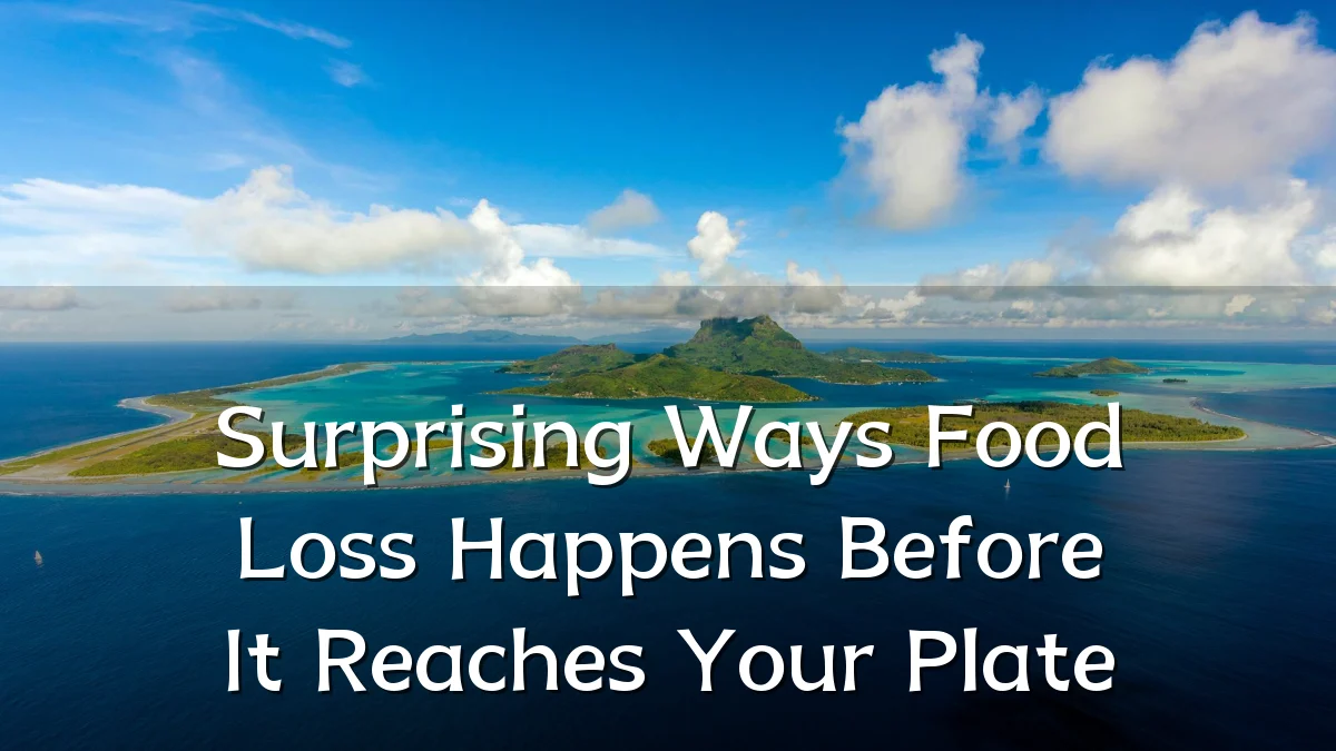 Surprising Ways Food Loss Happens Before It Reaches Your Plate
