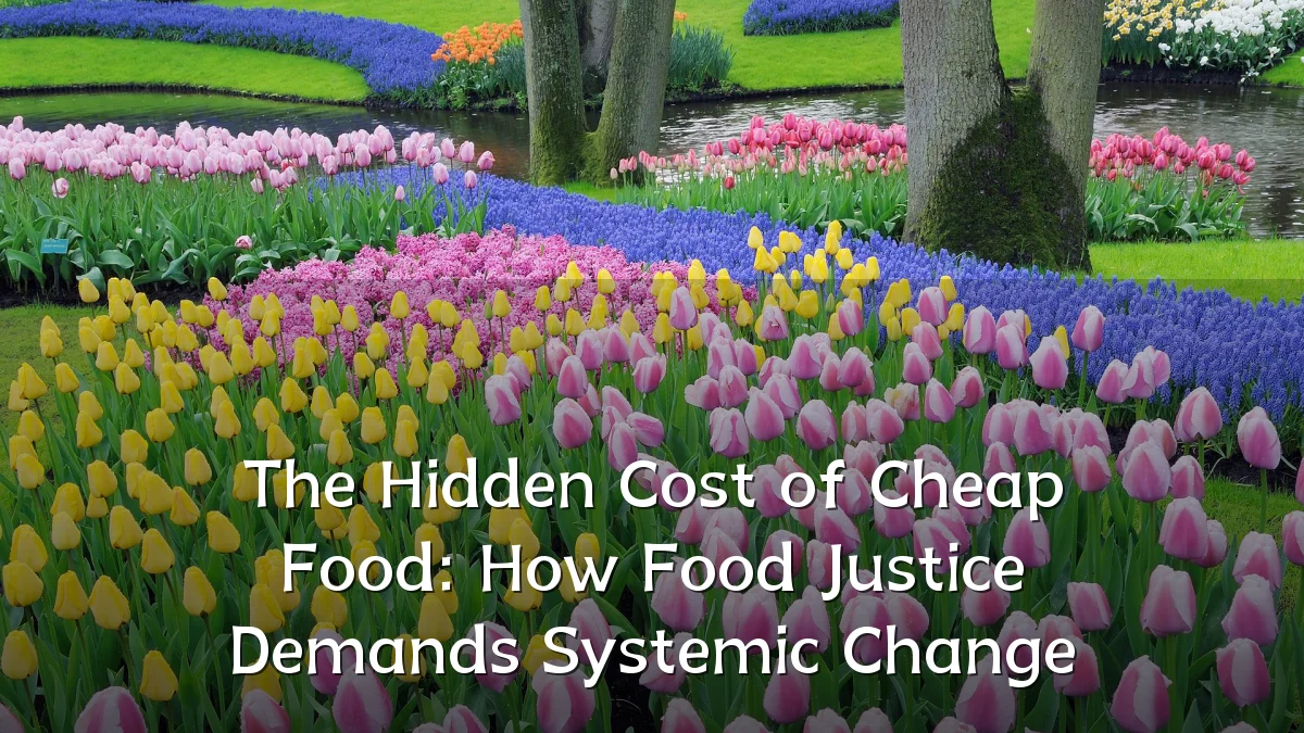 The Hidden Cost of Cheap Food: How Food Justice Demands Systemic Change