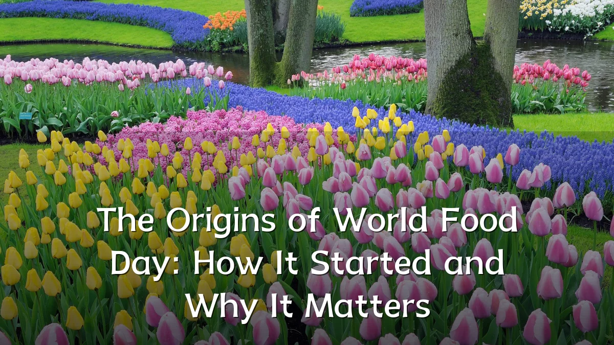 The Origins of World Food Day: How It Started and Why It Matters