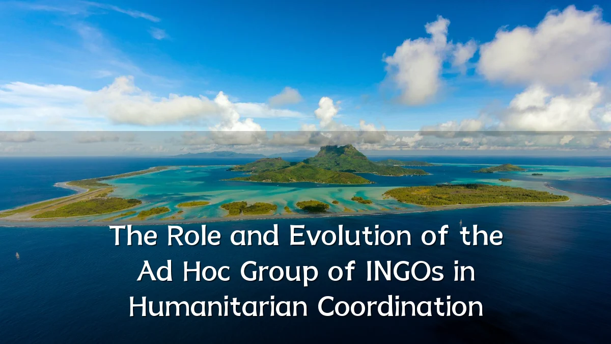 The Role and Evolution of the Ad Hoc Group of INGOs in Humanitarian Coordination