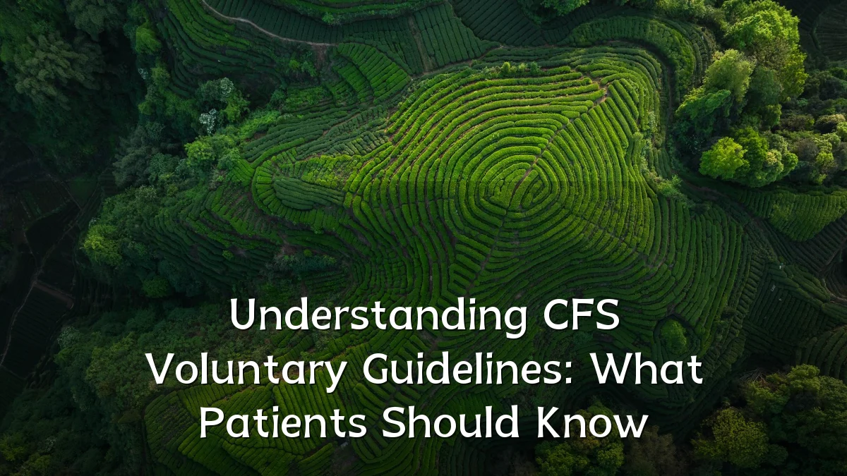 Understanding CFS Voluntary Guidelines: What Patients Should Know