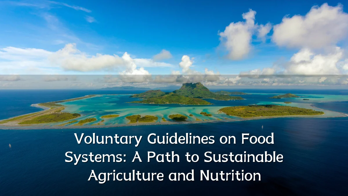Voluntary Guidelines on Food Systems: A Path to Sustainable Agriculture and Nutrition