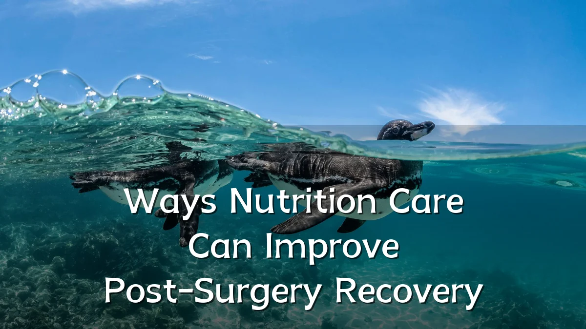 Ways Nutrition Care Can Improve Post-Surgery Recovery