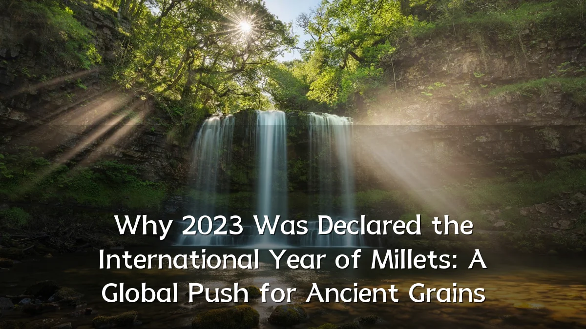 Why 2023 Was Declared the International Year of Millets: A Global Push for Ancient Grains