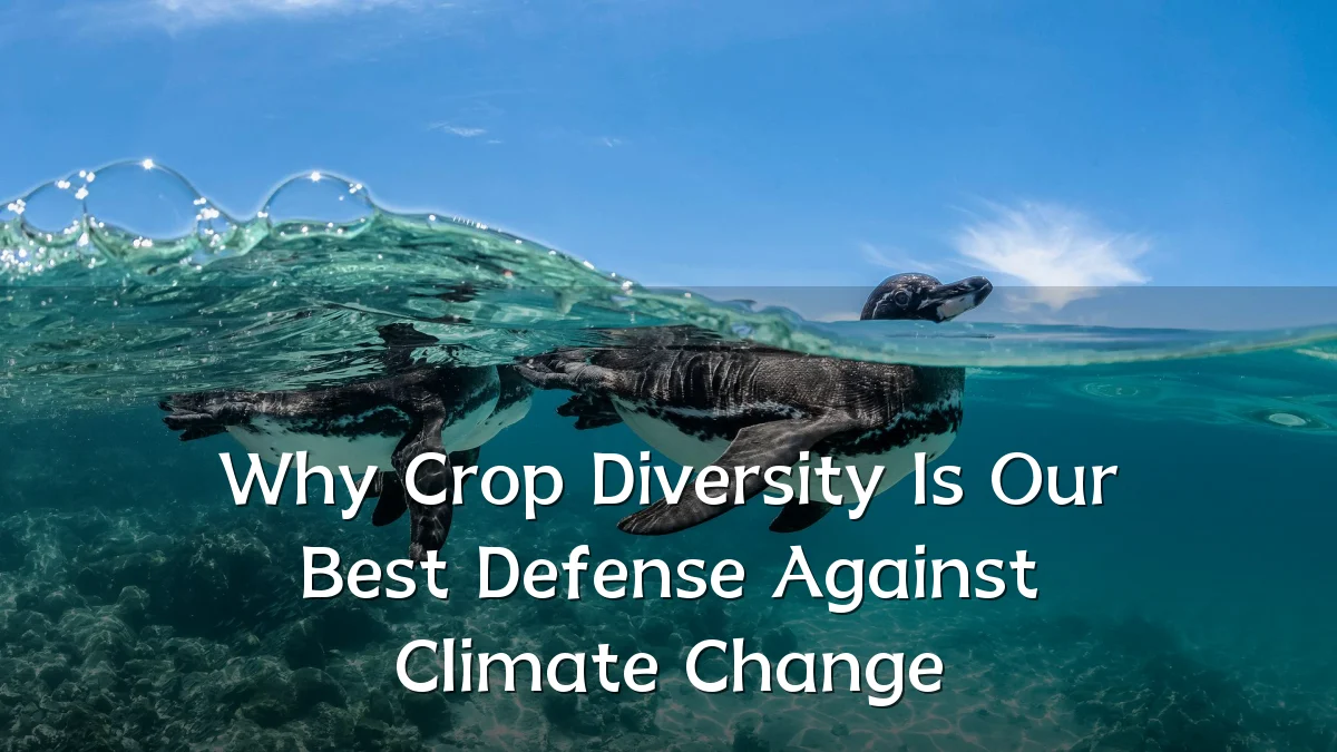 Why Crop Diversity Is Our Best Defense Against Climate Change