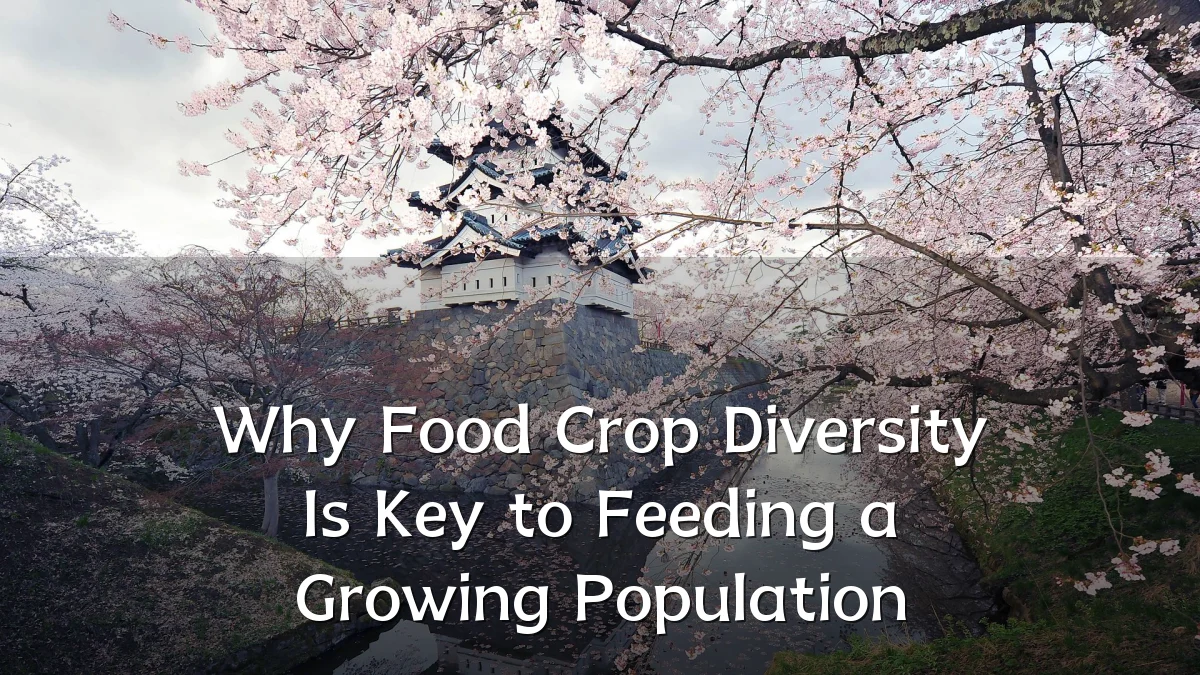 Why Food Crop Diversity Is Key to Feeding a Growing Population