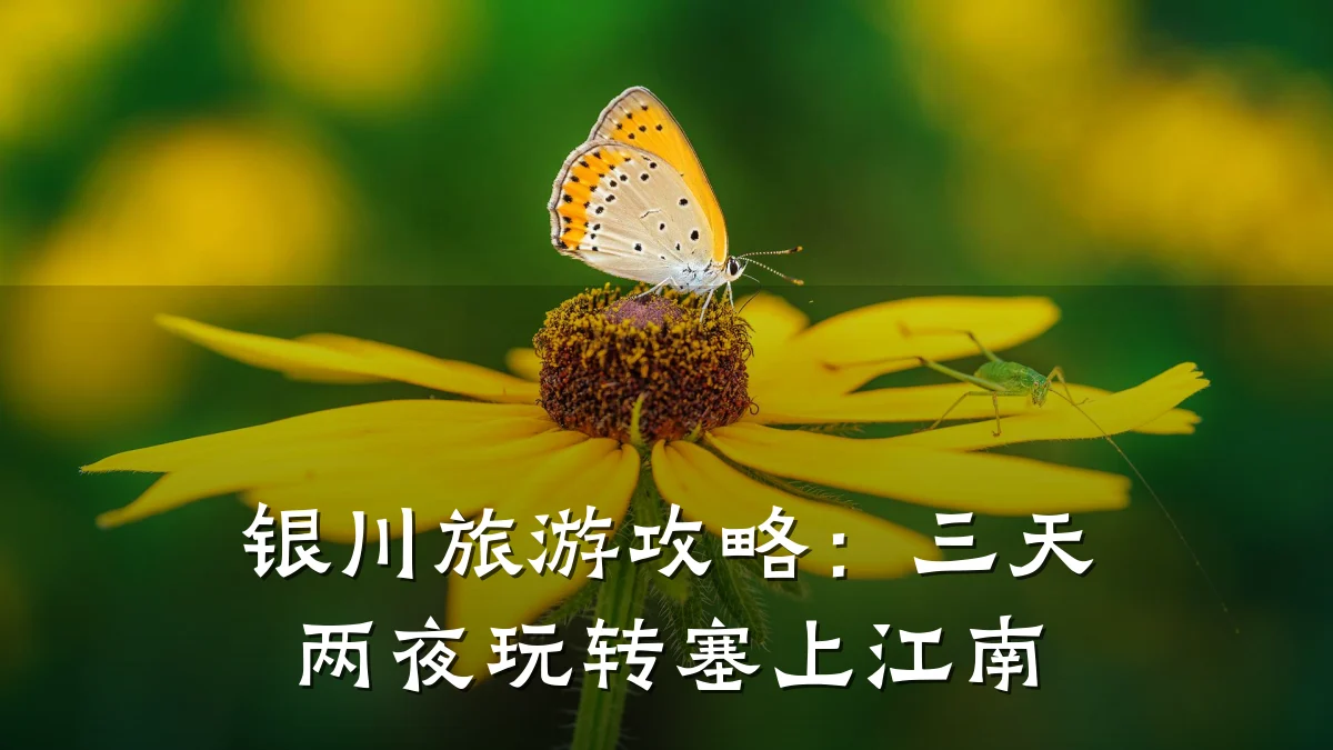 银川旅游攻略：三天两夜玩转塞上江南