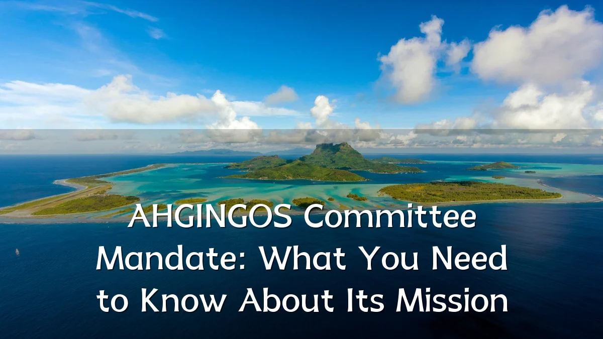 AHGINGOS Committee Mandate: What You Need to Know About Its Mission