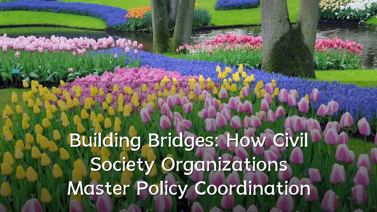 Building Bridges: How Civil Society Organizations Master Policy Coordination