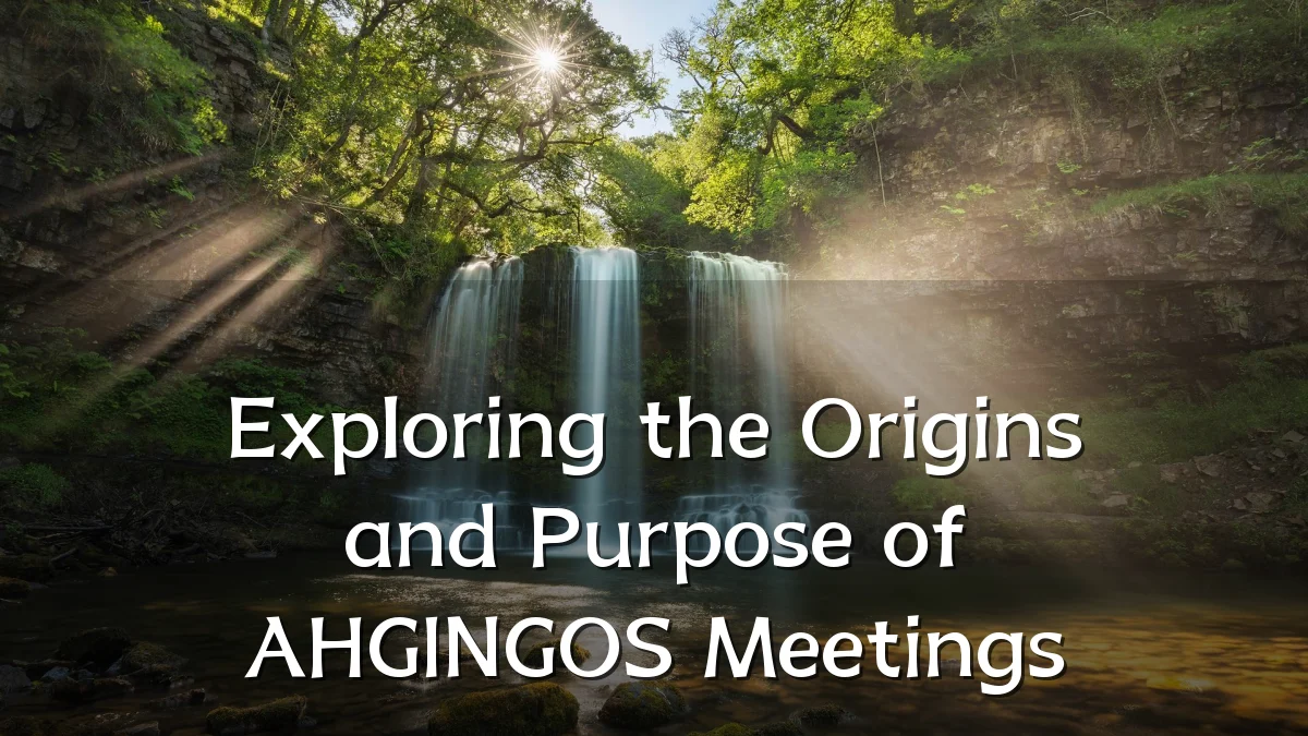 Exploring the Origins and Purpose of AHGINGOS Meetings