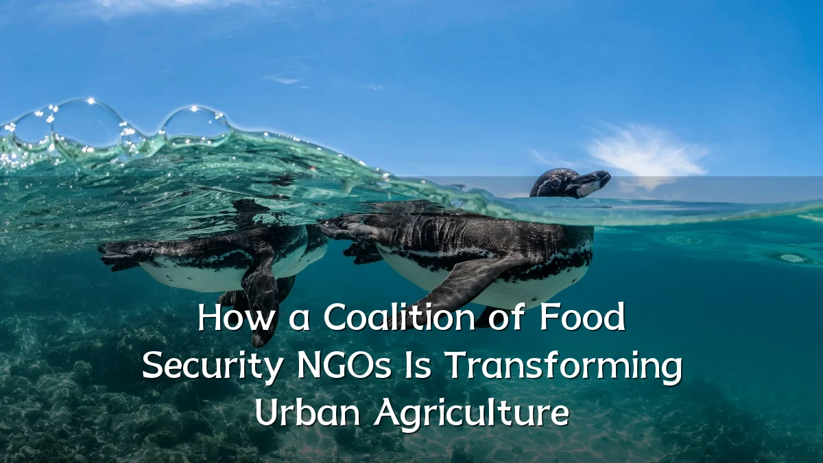 How a Coalition of Food Security NGOs Is Transforming Urban Agriculture