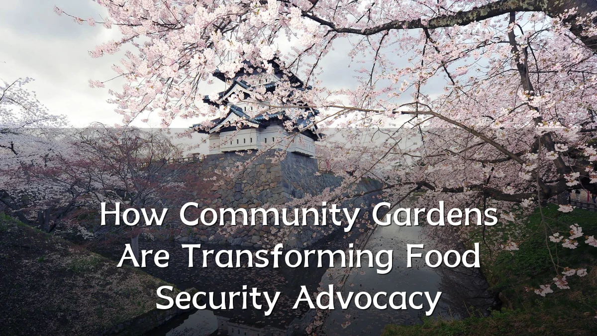 How Community Gardens Are Transforming Food Security Advocacy