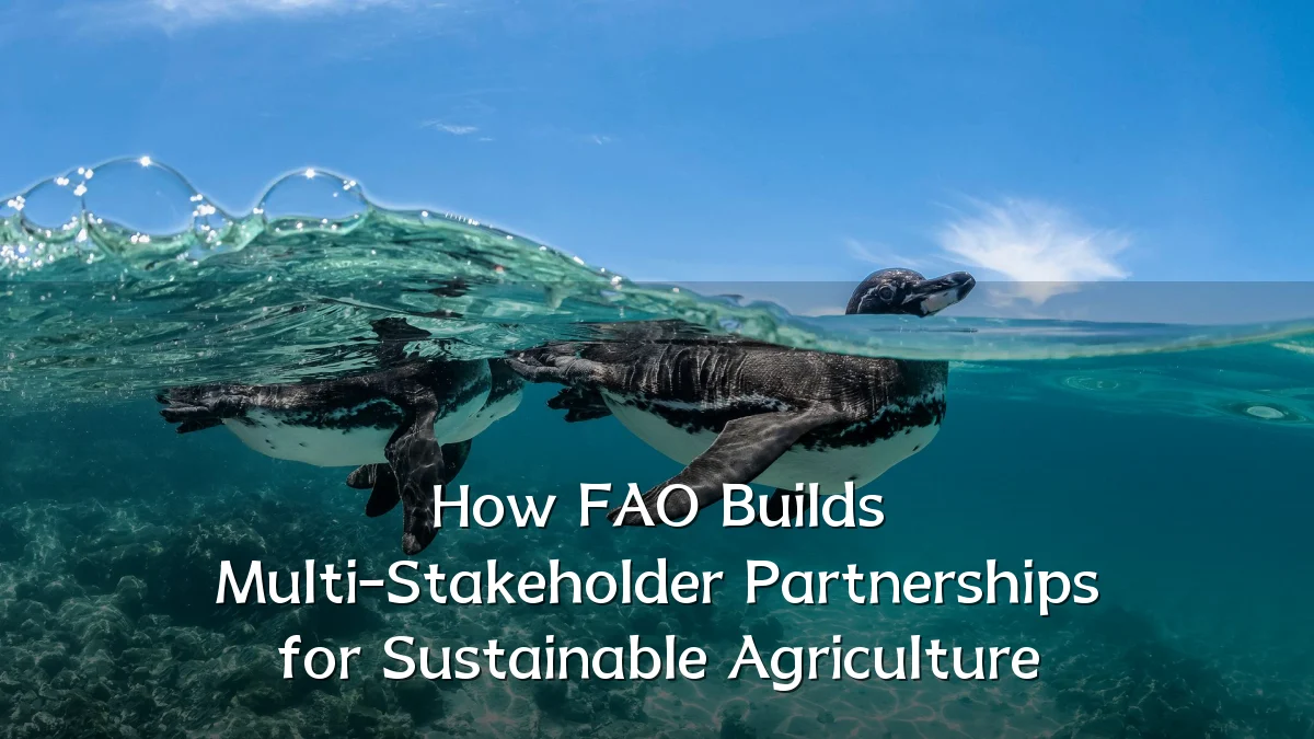 How FAO Builds Multi-Stakeholder Partnerships for Sustainable Agriculture