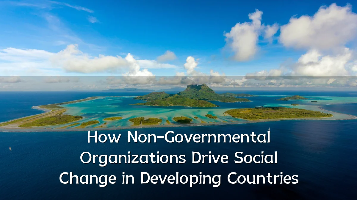 How Non-Governmental Organizations Drive Social Change in Developing Countries
