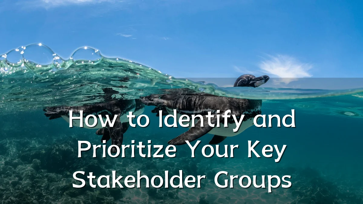 How to Identify and Prioritize Your Key Stakeholder Groups